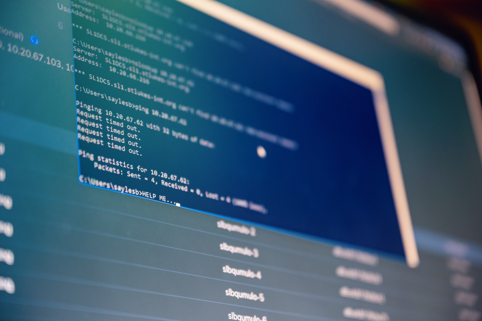 Analisi dati: i principali software open source che puoi iniziare ad utilizzare